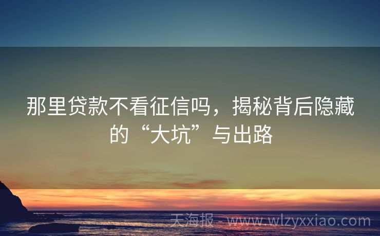 那里贷款不看征信吗，揭秘背后隐藏的“大坑”与出路