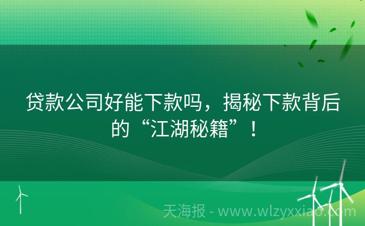 贷款公司好能下款吗，揭秘下款背后的“江湖秘籍”！