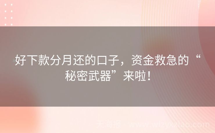 好下款分月还的口子，资金救急的“秘密武器”来啦！