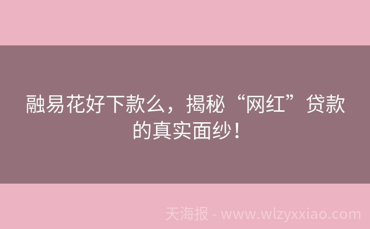 融易花好下款么，揭秘“网红”贷款的真实面纱！
