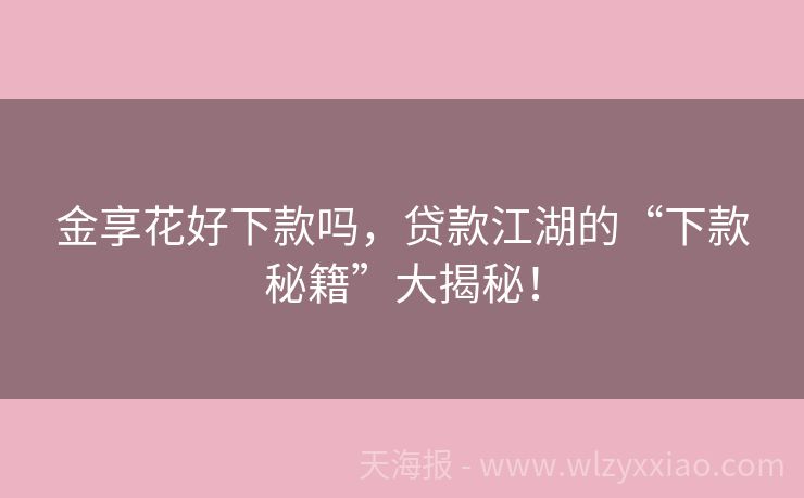 金享花好下款吗，贷款江湖的“下款秘籍”大揭秘！