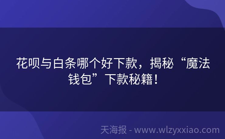 花呗与白条哪个好下款，揭秘“魔法钱包”下款秘籍！