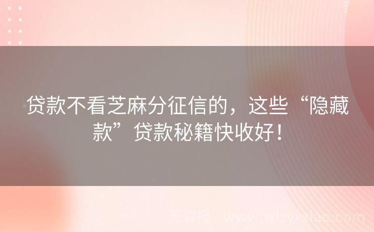 贷款不看芝麻分征信的，这些“隐藏款”贷款秘籍快收好！
