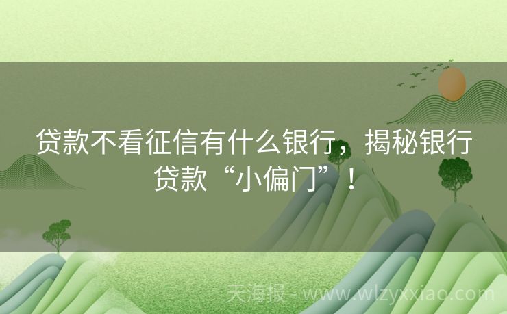 贷款不看征信有什么银行，揭秘银行贷款“小偏门”！