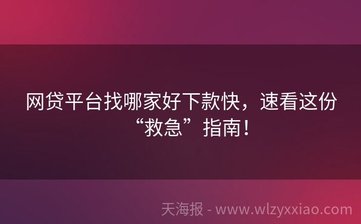 网贷平台找哪家好下款快，速看这份“救急”指南！