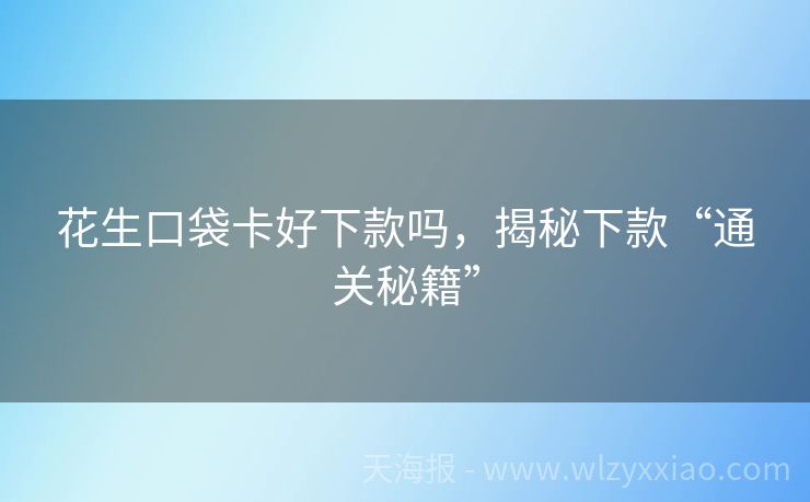 花生口袋卡好下款吗，揭秘下款“通关秘籍”