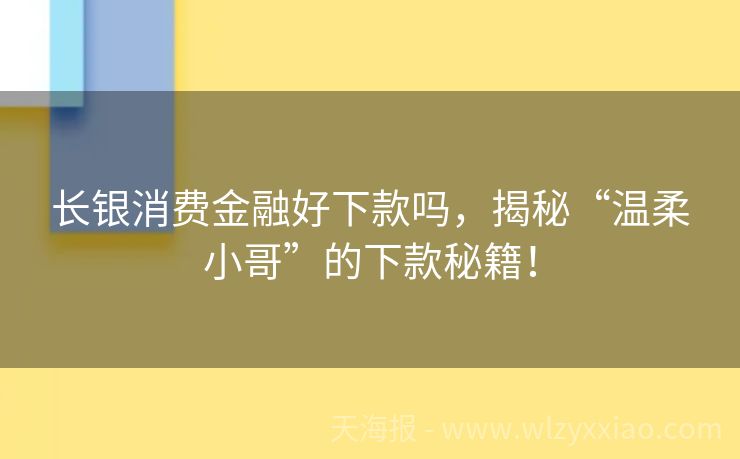 长银消费金融好下款吗，揭秘“温柔小哥”的下款秘籍！