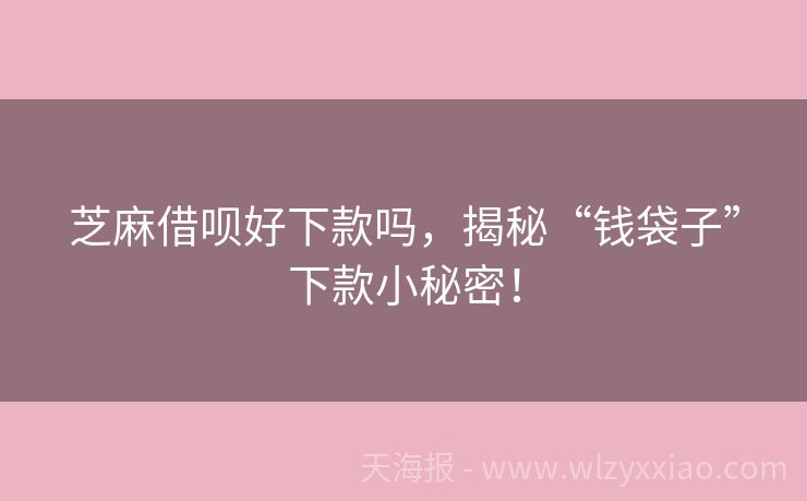 芝麻借呗好下款吗，揭秘“钱袋子”下款小秘密！