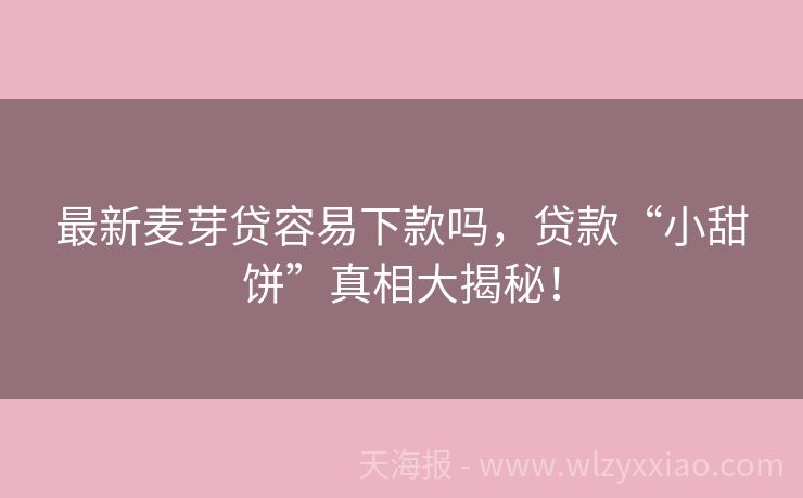 最新麦芽贷容易下款吗，贷款“小甜饼”真相大揭秘！