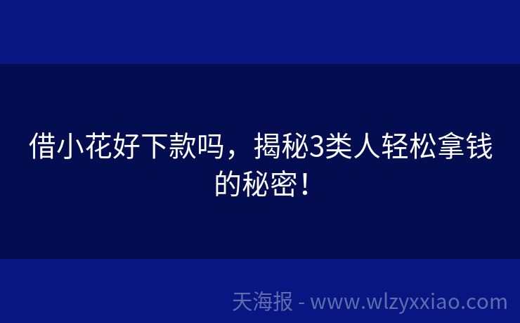 借小花好下款吗，揭秘3类人轻松拿钱的秘密！