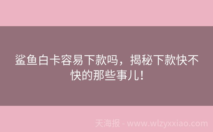 鲨鱼白卡容易下款吗，揭秘下款快不快的那些事儿！