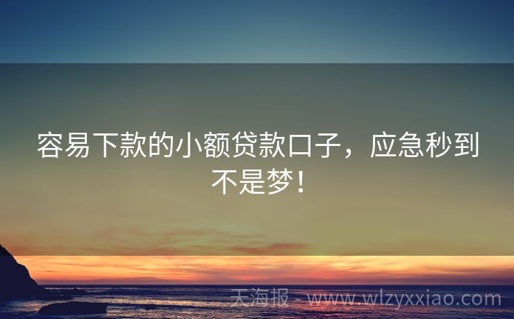 容易下款的小额贷款口子，应急秒到不是梦！