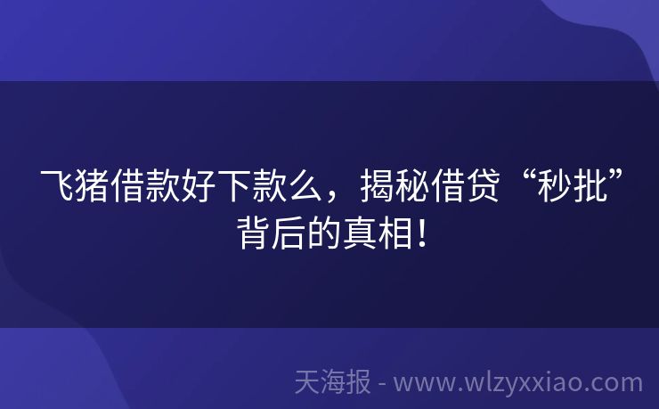 飞猪借款好下款么，揭秘借贷“秒批”背后的真相！