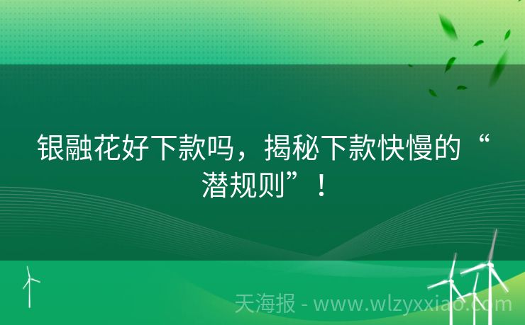 银融花好下款吗，揭秘下款快慢的“潜规则”！