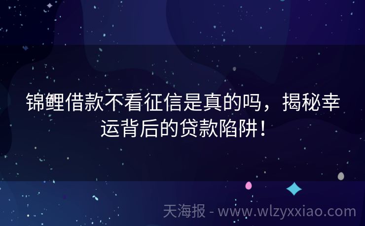 锦鲤借款不看征信是真的吗，揭秘幸运背后的贷款陷阱！