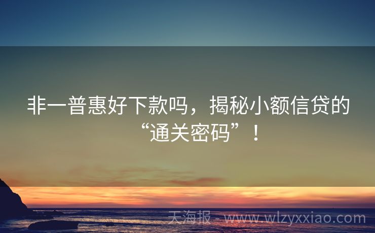 非一普惠好下款吗，揭秘小额信贷的“通关密码”！