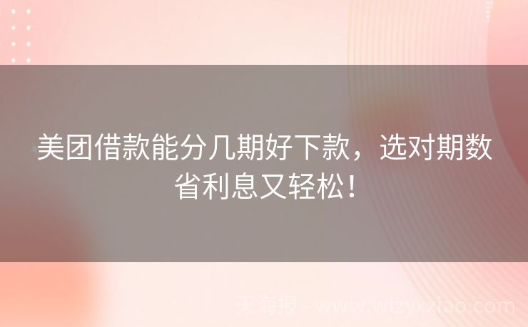 美团借款能分几期好下款，选对期数省利息又轻松！