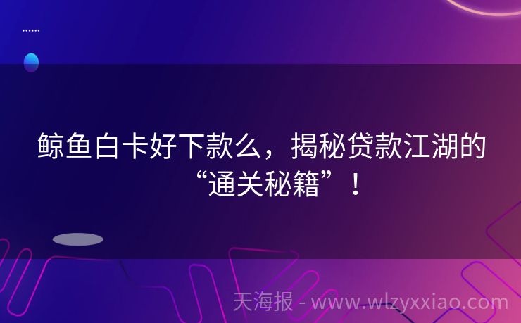 鲸鱼白卡好下款么，揭秘贷款江湖的“通关秘籍”！
