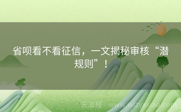 省呗看不看征信，一文揭秘审核“潜规则”！