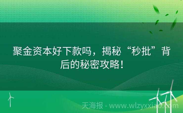 聚金资本好下款吗，揭秘“秒批”背后的秘密攻略！