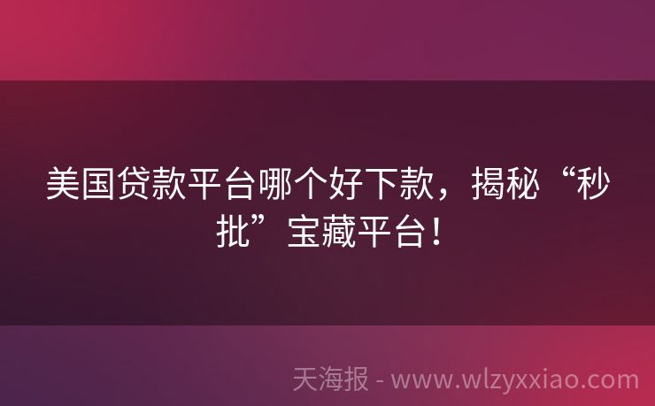 美国贷款平台哪个好下款，揭秘“秒批”宝藏平台！