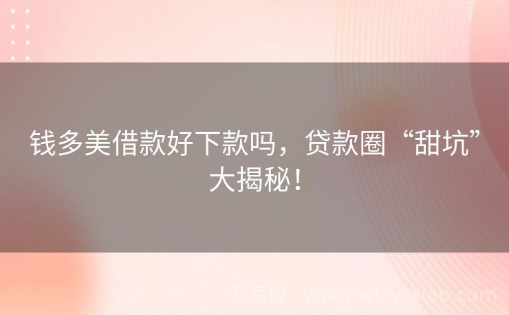 钱多美借款好下款吗，贷款圈“甜坑”大揭秘！