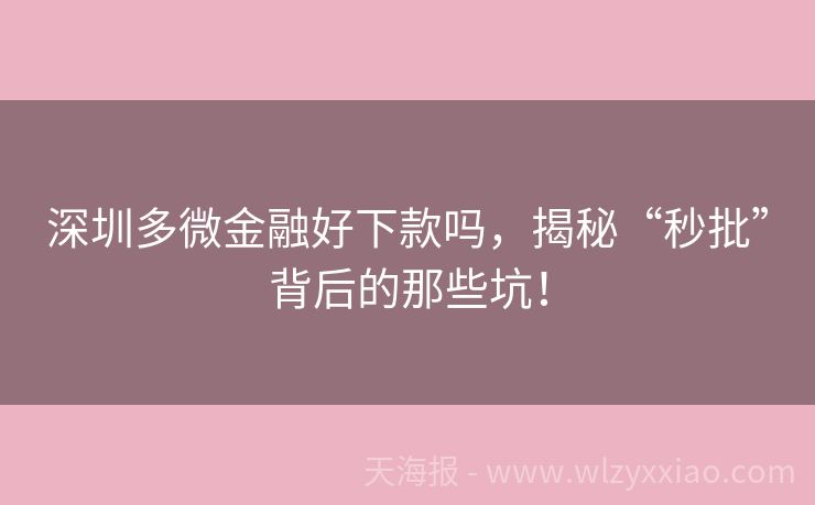 深圳多微金融好下款吗，揭秘“秒批”背后的那些坑！