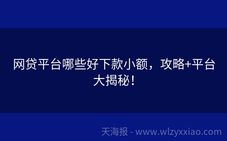 网贷平台哪些好下款小额，攻略+平台大揭秘！