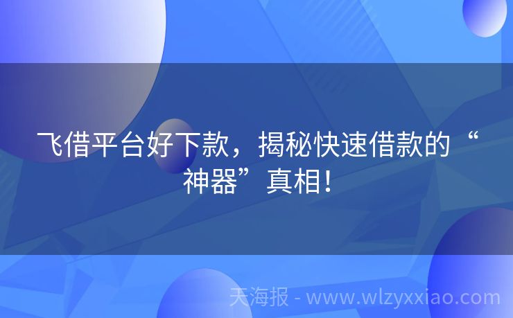 飞借平台好下款，揭秘快速借款的“神器”真相！
