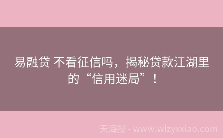 易融贷 不看征信吗，揭秘贷款江湖里的“信用迷局”！