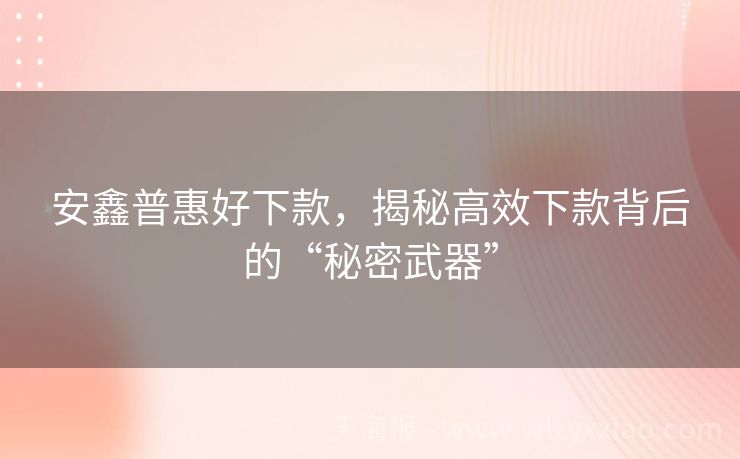 安鑫普惠好下款，揭秘高效下款背后的“秘密武器”