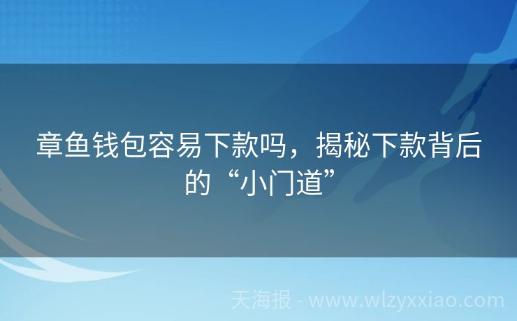 章鱼钱包容易下款吗，揭秘下款背后的“小门道”