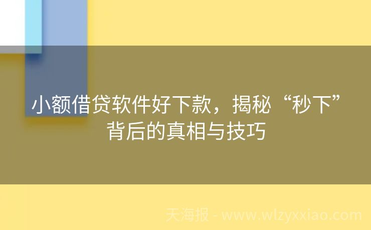 小额借贷软件好下款，揭秘“秒下”背后的真相与技巧