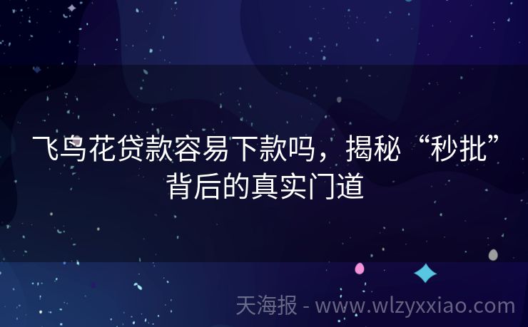 飞鸟花贷款容易下款吗，揭秘“秒批”背后的真实门道