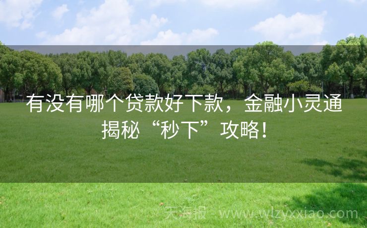 有没有哪个贷款好下款，金融小灵通揭秘“秒下”攻略！