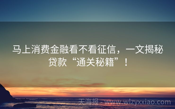 马上消费金融看不看征信，一文揭秘贷款“通关秘籍”！