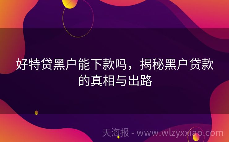 好特贷黑户能下款吗，揭秘黑户贷款的真相与出路