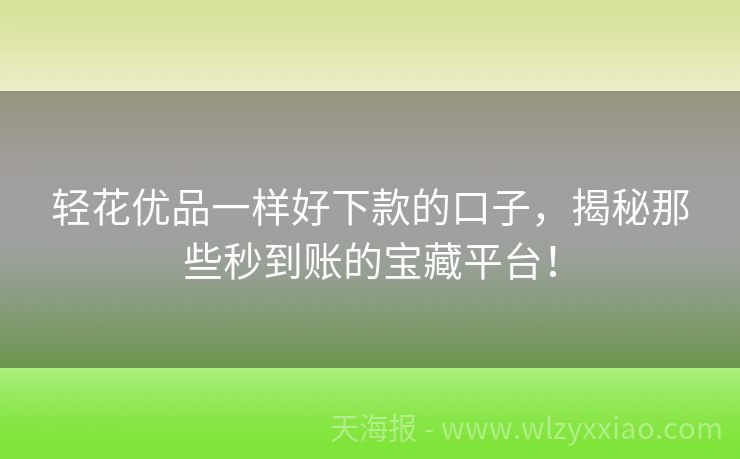 轻花优品一样好下款的口子，揭秘那些秒到账的宝藏平台！