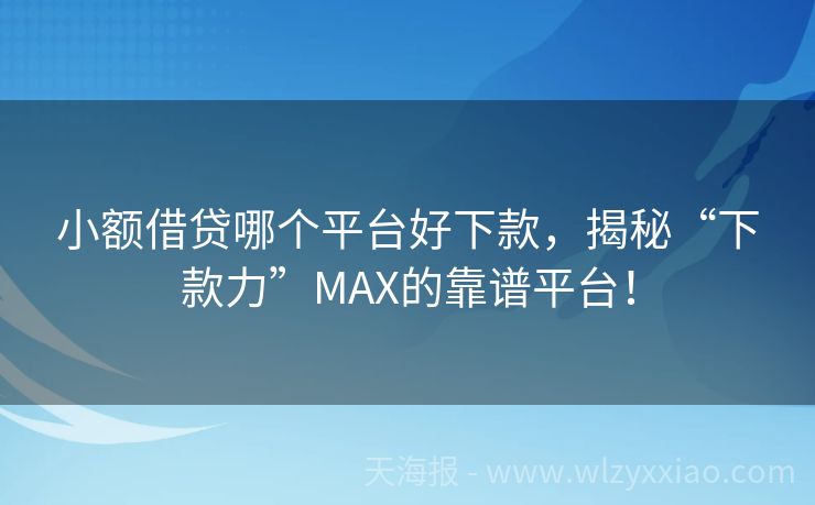 小额借贷哪个平台好下款，揭秘“下款力”MAX的靠谱平台！