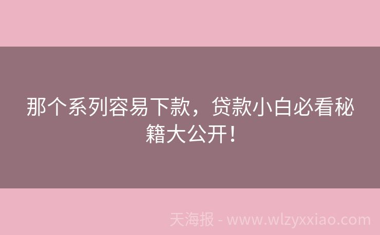 那个系列容易下款，贷款小白必看秘籍大公开！
