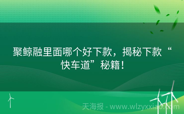 聚鲸融里面哪个好下款，揭秘下款“快车道”秘籍！