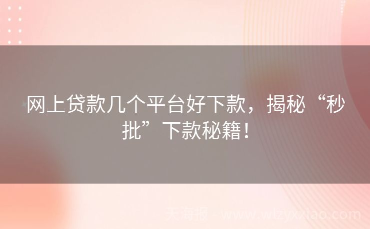 网上贷款几个平台好下款，揭秘“秒批”下款秘籍！