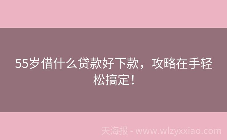55岁借什么贷款好下款，攻略在手轻松搞定！