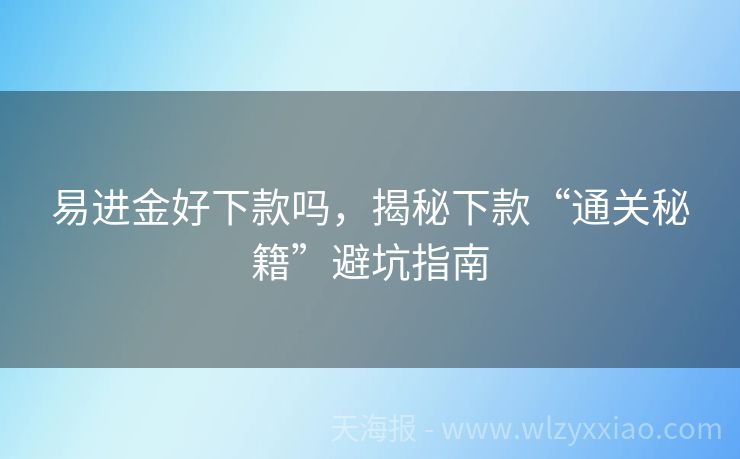 易进金好下款吗，揭秘下款“通关秘籍”避坑指南