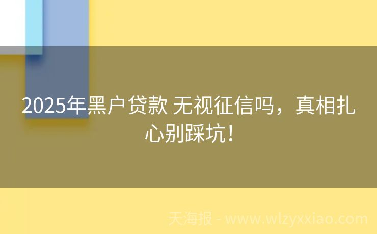 2025年黑户贷款 无视征信吗，真相扎心别踩坑！