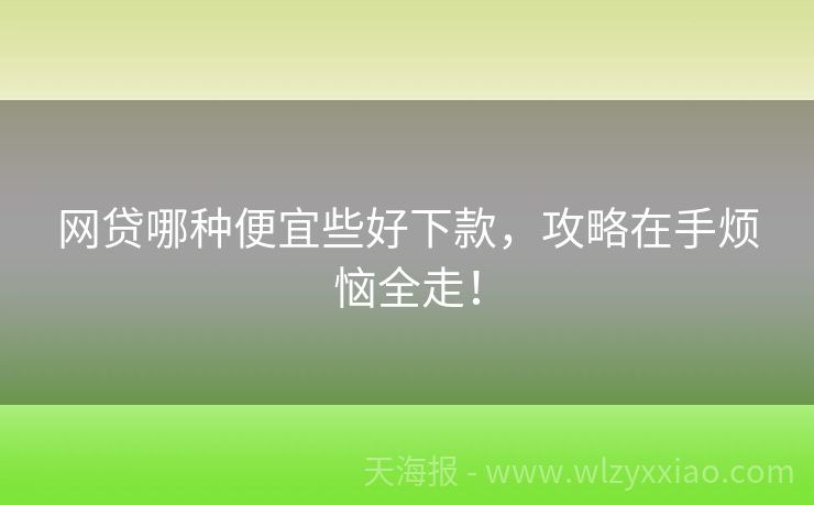 网贷哪种便宜些好下款，攻略在手烦恼全走！