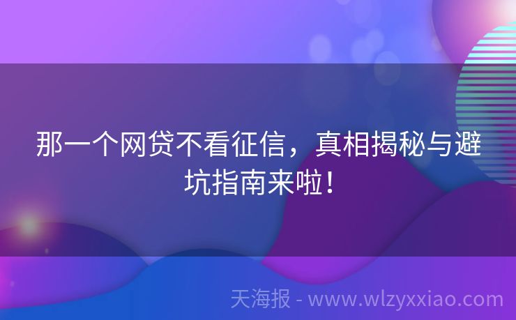 那一个网贷不看征信，真相揭秘与避坑指南来啦！