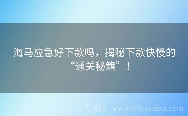 海马应急好下款吗，揭秘下款快慢的“通关秘籍”！