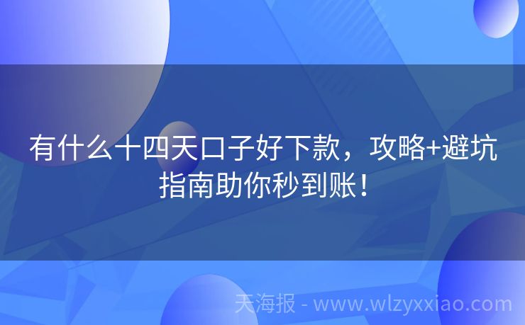 有什么十四天口子好下款，攻略+避坑指南助你秒到账！