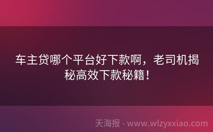 车主贷哪个平台好下款啊，老司机揭秘高效下款秘籍！
